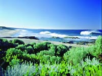 margaret_river_south_beach.jpg